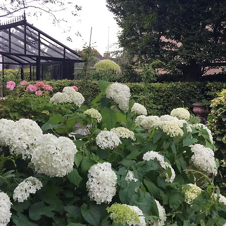 Korfuvej.rent.a.room Каструп