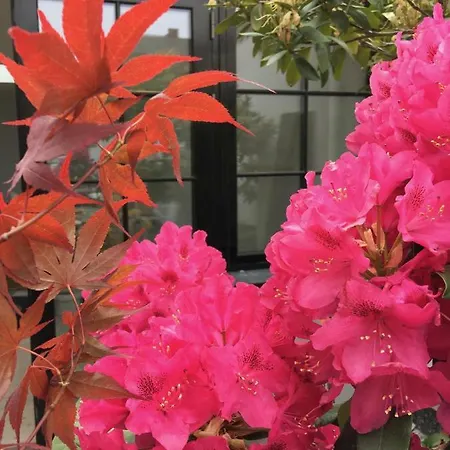 Гостевой дом Korfuvej.rent.a.room 3*